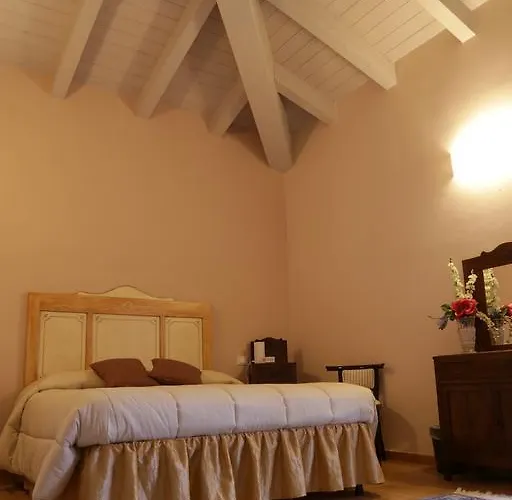 Il Canto Del Gallo